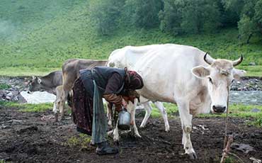阜陽潁淮食品選擇新東制冷罐，破解豬血保鮮難題